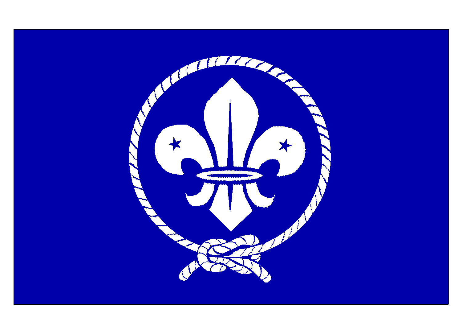 World Scouting Flag