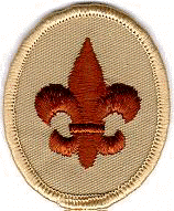 Scout Progress Award